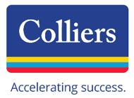 colliers international group inc cigi 10k annual reports 10q sec filings last10k financial records examples negative owners equity